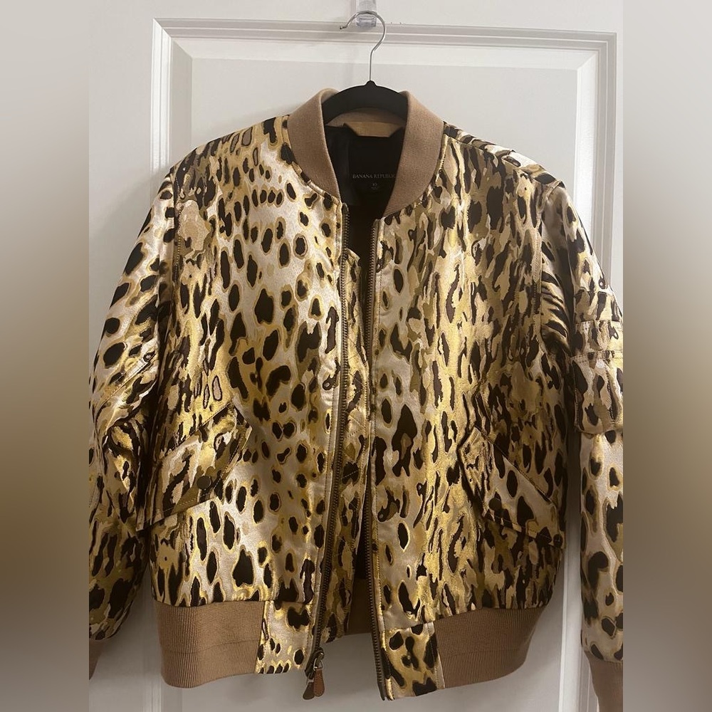 Cheetah bomber